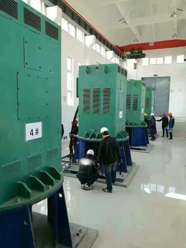 黄竹镇某污水处理厂使用我厂的立式高压电机安装现场